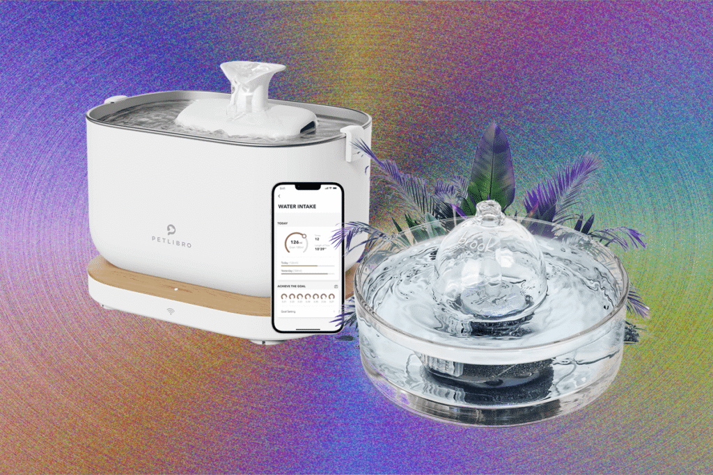 8 Best Cat Water Fountains, WIRED Tested and Reviewed (2025)