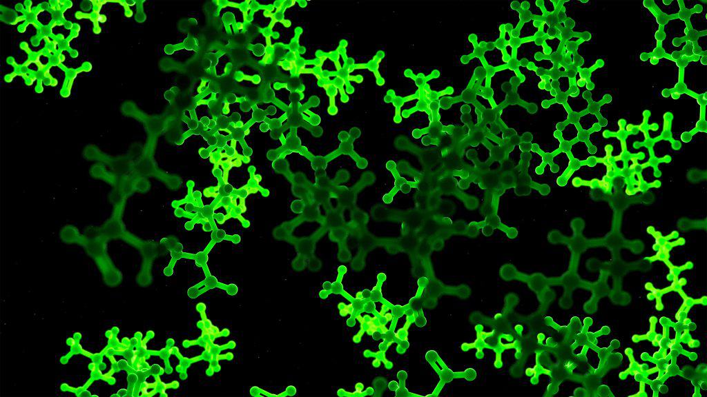 Brasileira disputa prêmio de ciência nos EUA para iniciar curso superior em Harvard