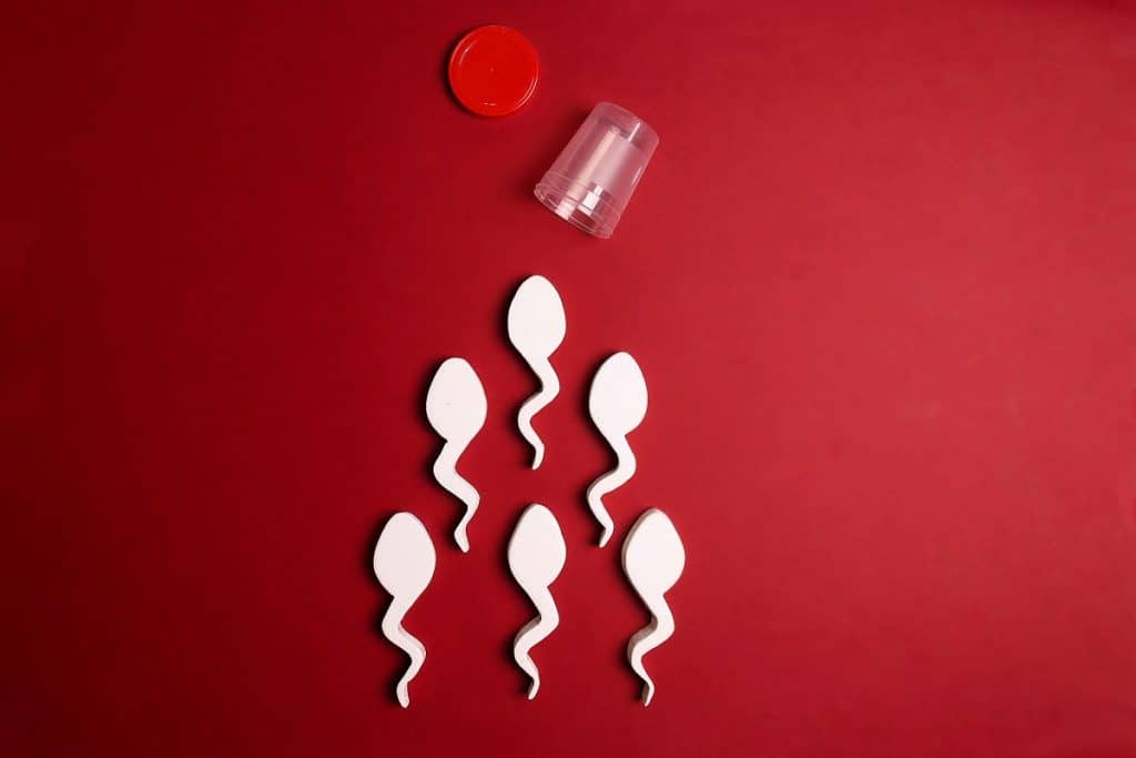 OMS lança primeira diretriz global sobre infertilidade