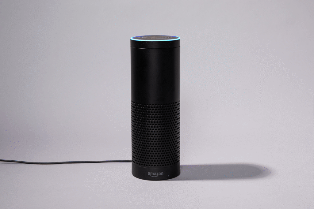 How the Amazon Echo learned to talk — and listen