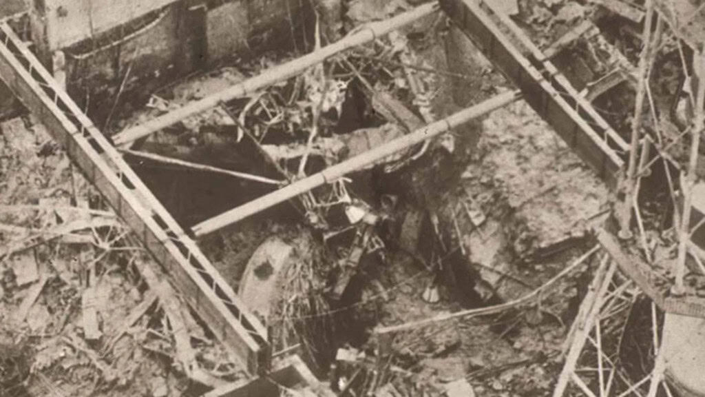 Lobos de Chernobyl são mais resistentes à radiação e podem ajudar no estudo do câncer